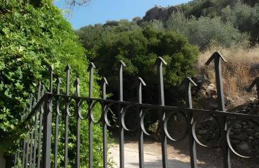 Finca Rústica La Pájara - Foto 17