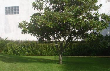 Casa das Merces - Photo 32