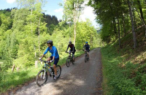 Ferienwohnung am Paradiese 74 - Foto 28