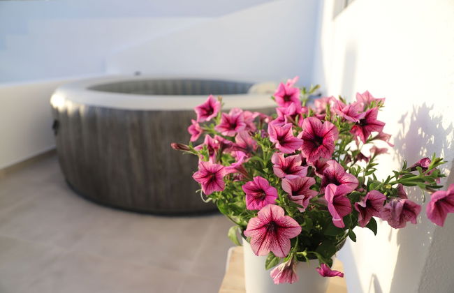 Calma Eco Houses - Foto 36