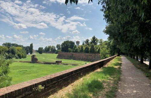 Il giardino segreto - Foto 45