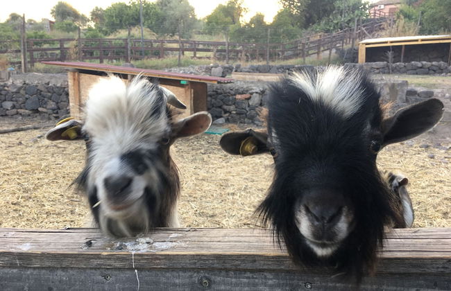 Corte Aragonese - Foto 32