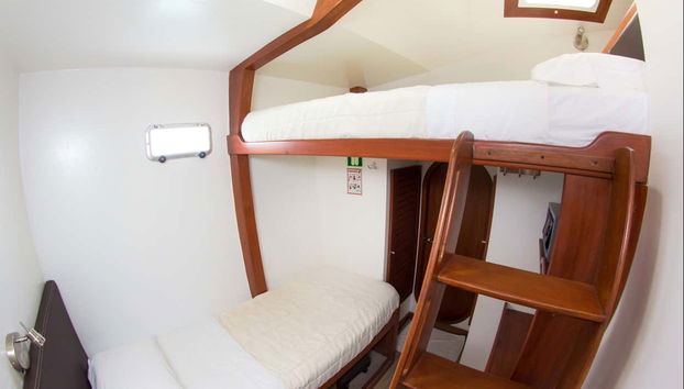 North Galapagos Islands 8 Day Cruise - Photo 5