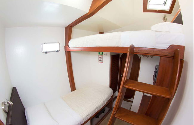 North Galapagos Islands 8 Day Cruise - Photo 5