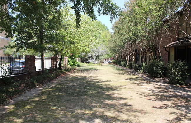 Louisiana Style - Photo 14