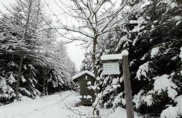 Schmallenberger Ferienhaus - Foto 12