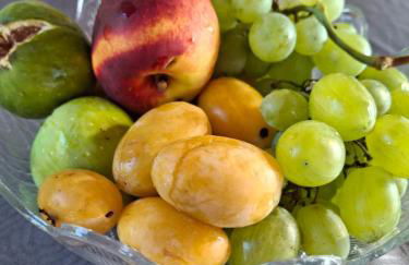 Agriturismo Podere 329 - Foto 10