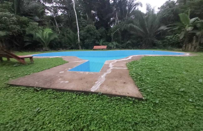 Pokakempi Tours - Foto 21