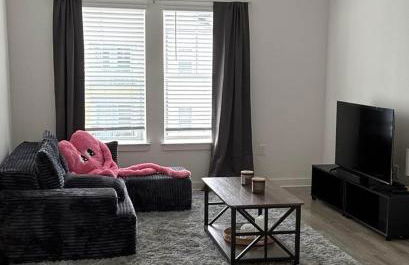 Modern 1BR Minutes to Mayo Clinic and Beach - Foto 7