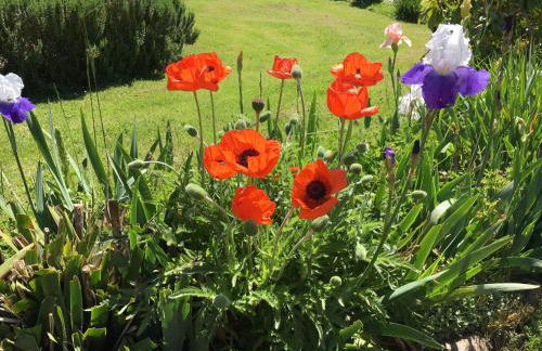 Gîtes Oasis du Lot - Foto 17