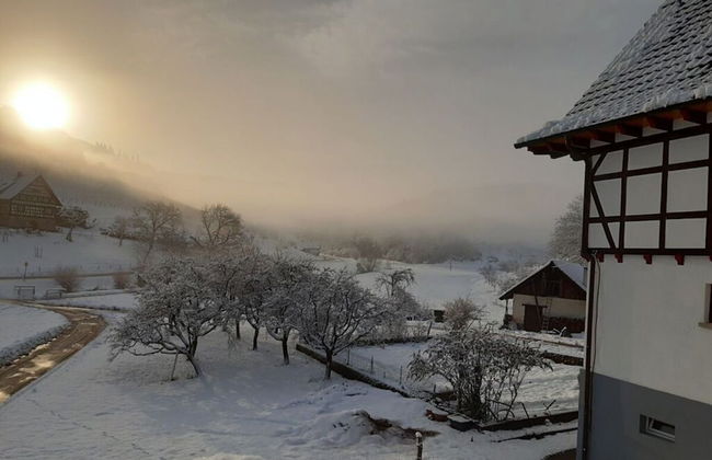 Apartment in Oberkirch - Foto 19