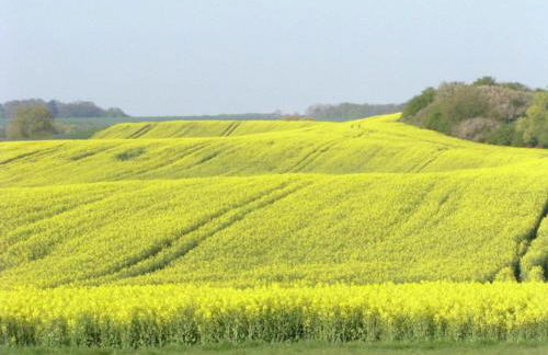 Wohnung nahe Ostsee Kühlungsborn - Foto 31