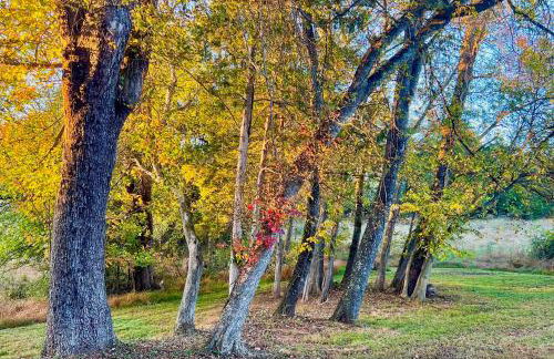 Cozy Log Cabin Getaway with Fire Pit and 3 Acres! - Photo 37