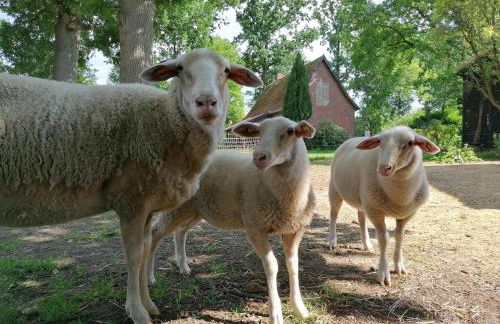 Hof von Felde - Foto 7