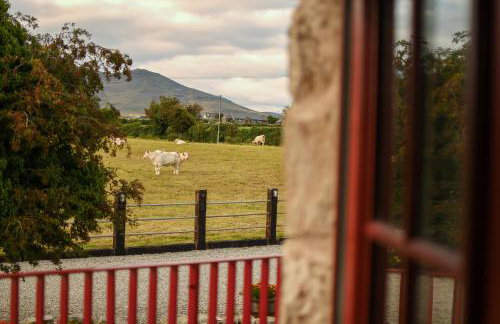 Wee Henry's Barn - Photo 55