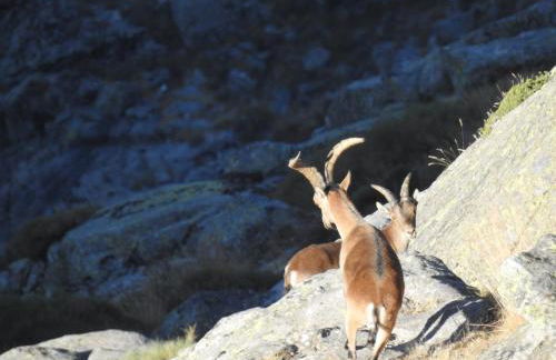Casa rural El rincón de Gredos - Photo 34