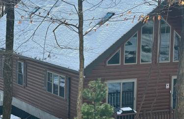 Luxury Cabin with Outdoor HotTub-NEW Construction - Foto 29