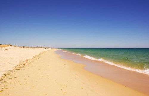 Petit Poisson - Foto 28