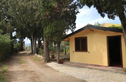 Bouganville in Villa Greco - Foto 45