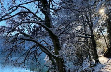 Appartement bellevue sur les hauteurs de Super-Besse - Photo 36