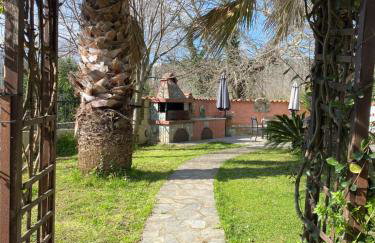 Accommodation Villa Mallis in Chorto, Pelion - Foto 42