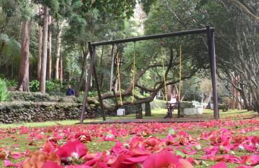 Casa Às Nove - Photo 54