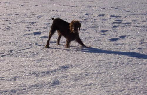 Ferienhof Guglhupf - Foto 50