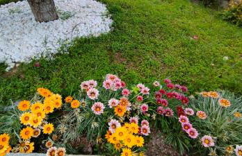 Chez Marie-Claire - Foto 22