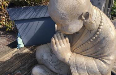 vensac ocean montalivet - Foto 45