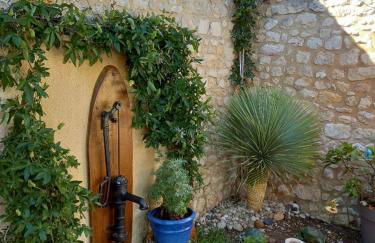 hô choucas - Foto 6