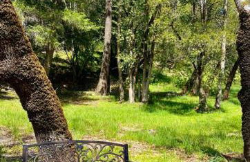 Avenue of the Giants Caraway Cottage (#3) - Foto 33