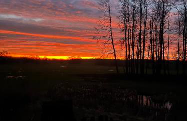 Dom Na Wsi - Foto 29