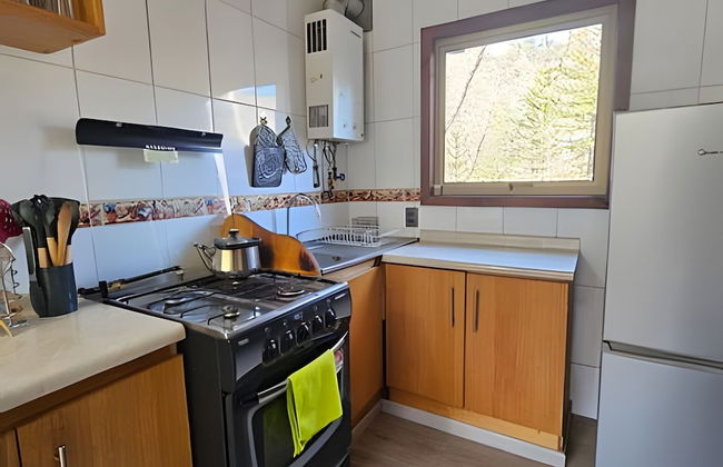 Oceana Suites Corralco - Photo 12