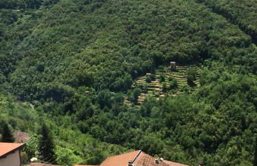 house in the medieval village - Foto 20