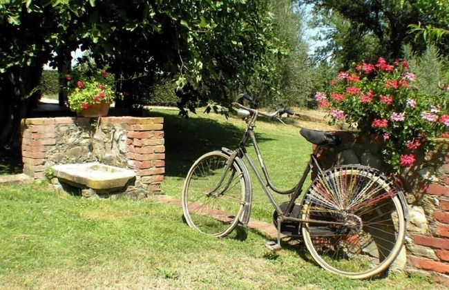 Agriturismo Il Sole Verde - Foto 40