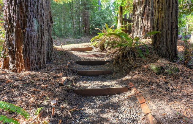 Cozy Treehouse - Foto 20