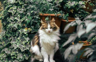 Li Ri Apartment Style - Foto 40