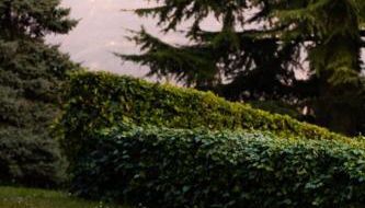 Exclusive Villa with Lake view-Private SPA - Foto 5