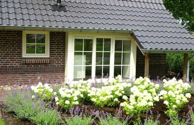 Spa Villa by Salland Forest - Foto 22