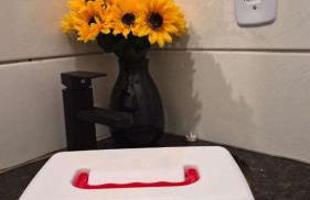 Conforto e segurança próximo ao Polo empresarial - Foto 10