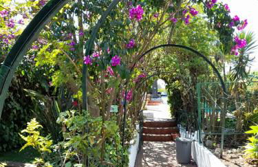 Villa Casa das Palmeiras - Foto 11