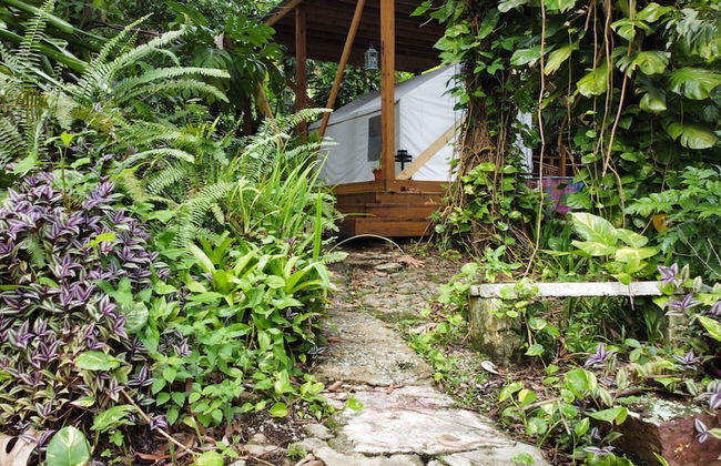 Casa Parcha - Photo 9