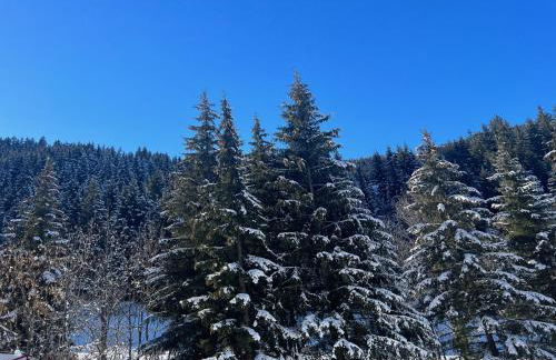 Appartement neuf haut de gamme esprit chalet à Méribel - 4 couchages - Foto 11