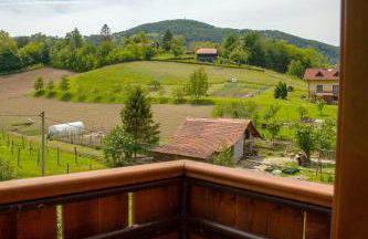 Vila Trnoružica - Foto 38