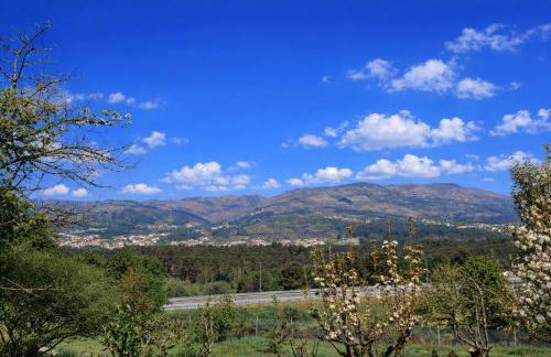 Cosy Tiny House Centro Vila Real - Foto 2