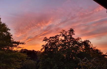 Frisch renovierte Ferienwohnung Abendrot für 2 Personen, zentral gelegen - Foto 17