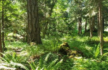 Blissful Solitude Cottage - Foto 49