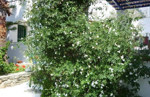 Porto Vlastos - Photo 71