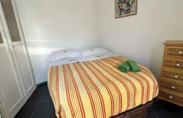 Smeraldino - Foto 18