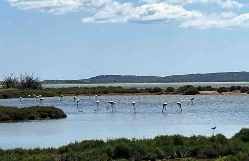 Tierra Del Viento - Villa Proche de la Mer - Foto 29